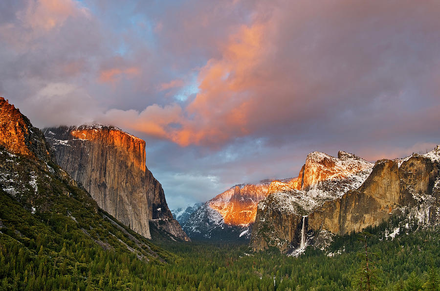 Yosemite Valley Photograph by Enrique R. Aguirre Aves