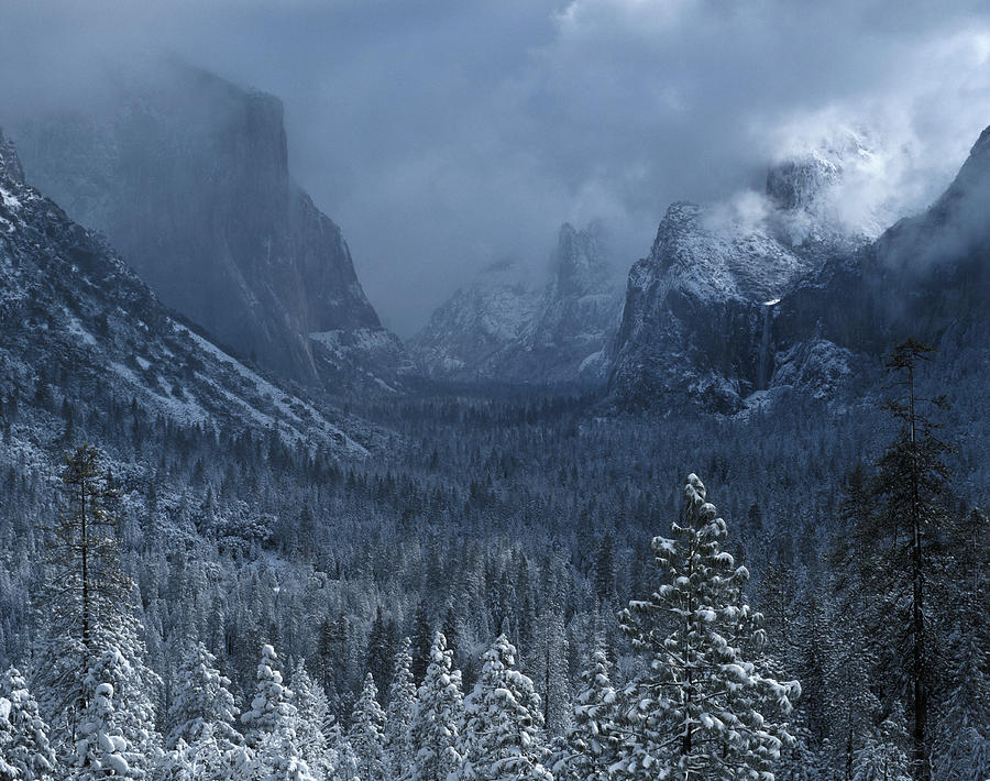 Yosemite Valley Photograph by Franz Aberham