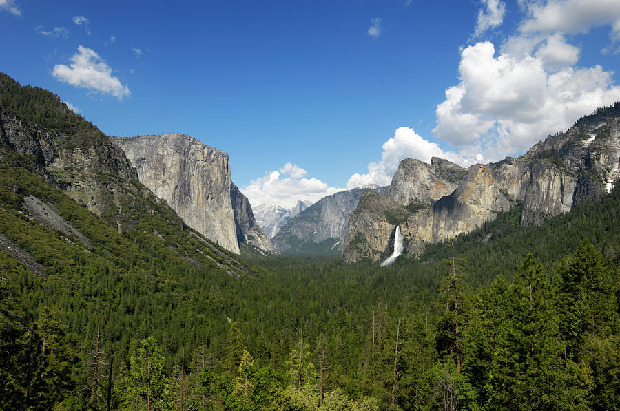 Yosemite Valley From Inspiration Point Photograph by Gomezdavid