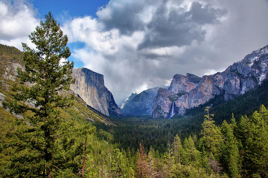 Yosemite Valley From Tunnel View Photograph by Mimi Ditchie Photography