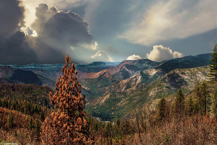 Yosemite Valley by Gaylon Yancy Yosemite Valley by Gaylon Yancy