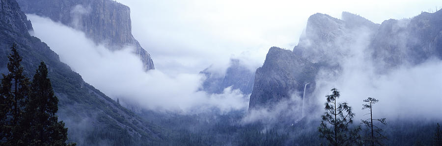 Yosemite Valley Photograph by Jameslee999