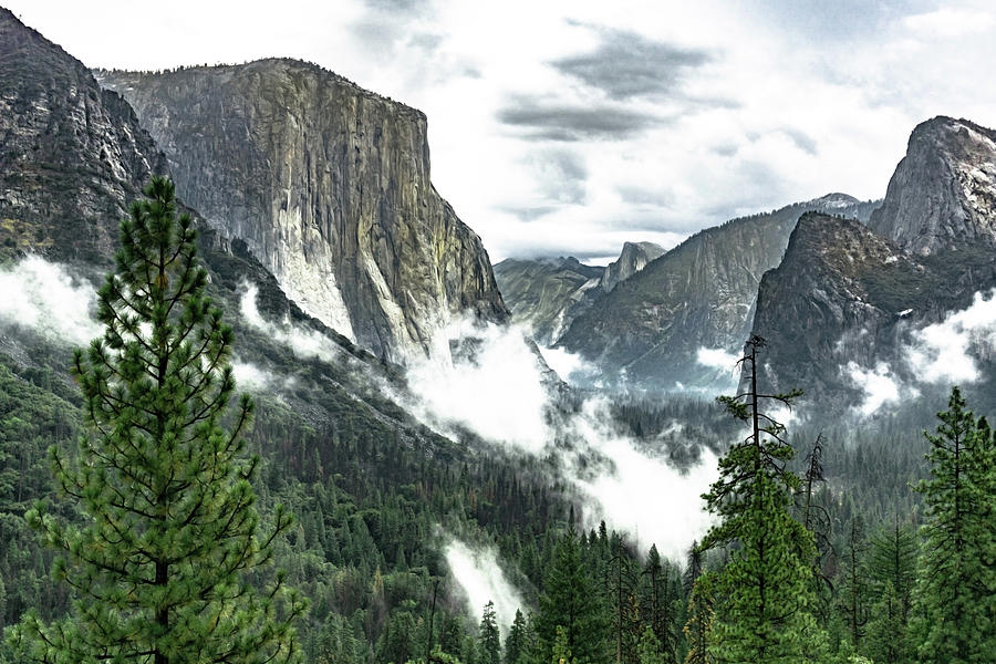 Yosemite Valley Photograph by Silvia Marcoschamer