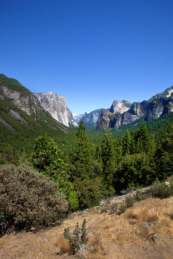 Yosemite Valley, Yosemite National Photograph by Geri Lavrov