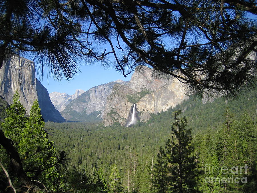 Yosemite Valley Yosemite National Park Bridal Veil Falls El Capitan Half Dome A Panoramic View Photograph by John Shiron