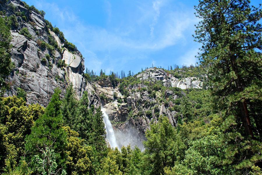 Yosemite National Park Photograph - Yosemite Waterfall Luscious Green Landscape  by Matt Quest