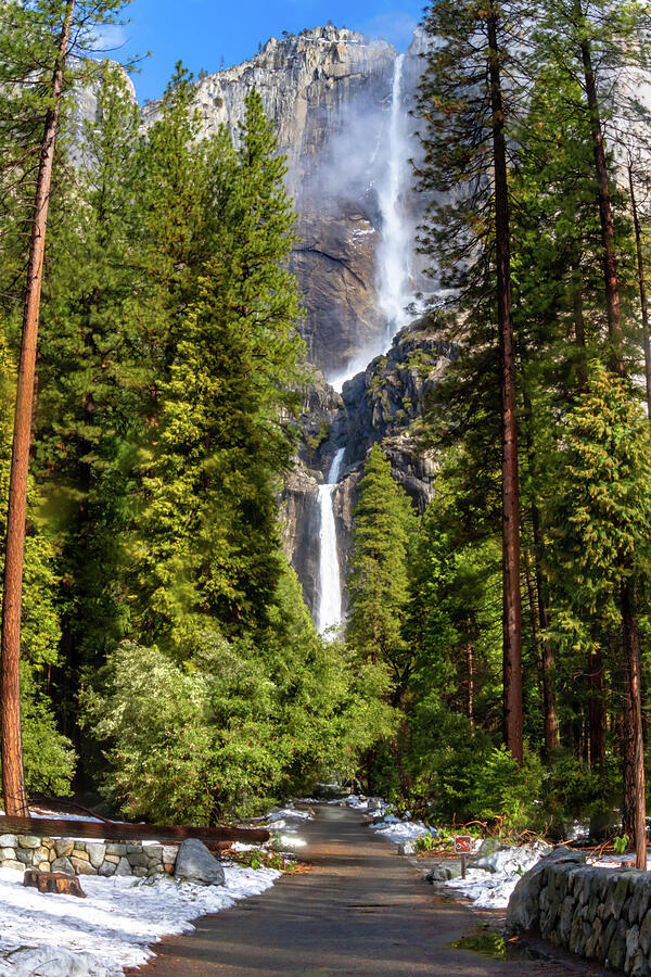 Yosemite Waterfalls Photograph by Norma Brandsberg