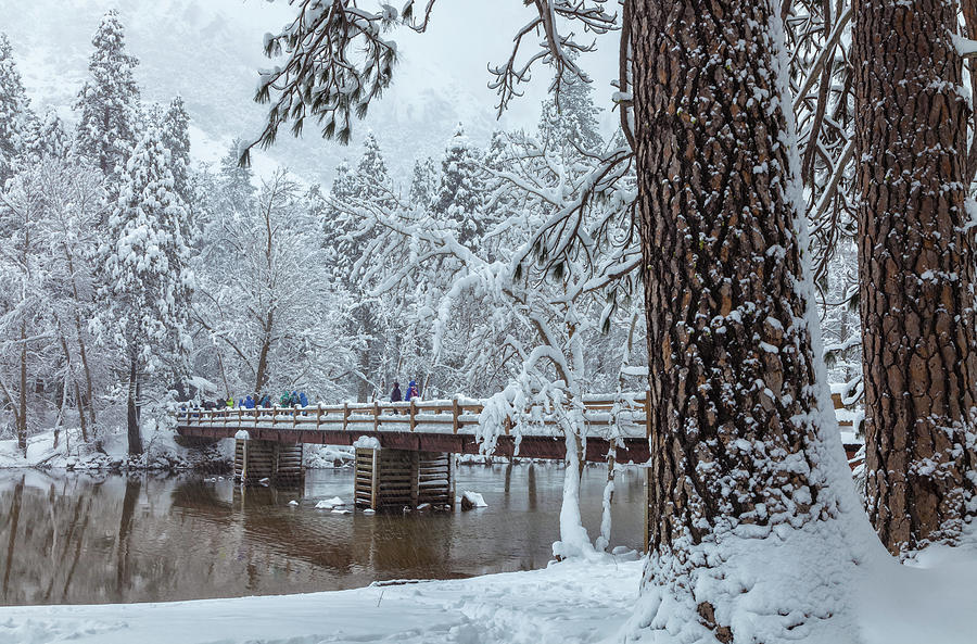 Yosemite Winter Photograph by Jonathan Nguyen
