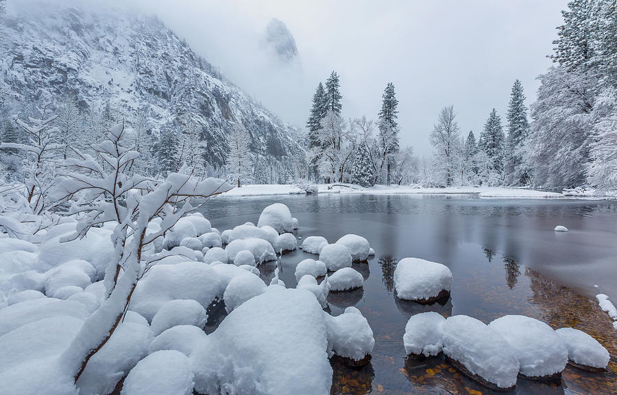 Yosemite Winterland Photograph by Dianne Mao