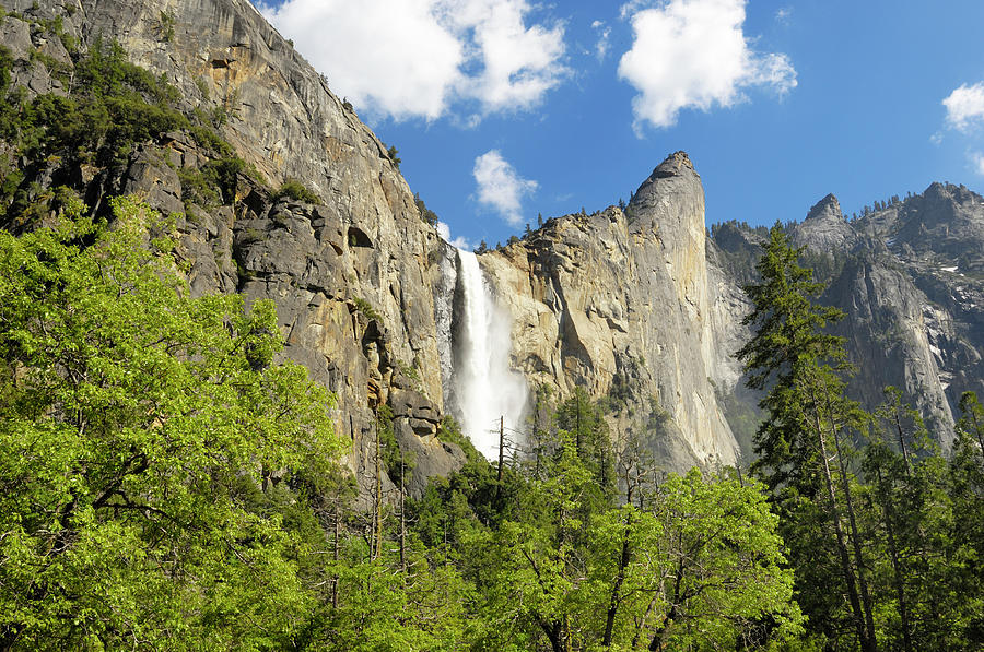 Yosemites Bridalveil Fall In The Spring by Gomezdavid