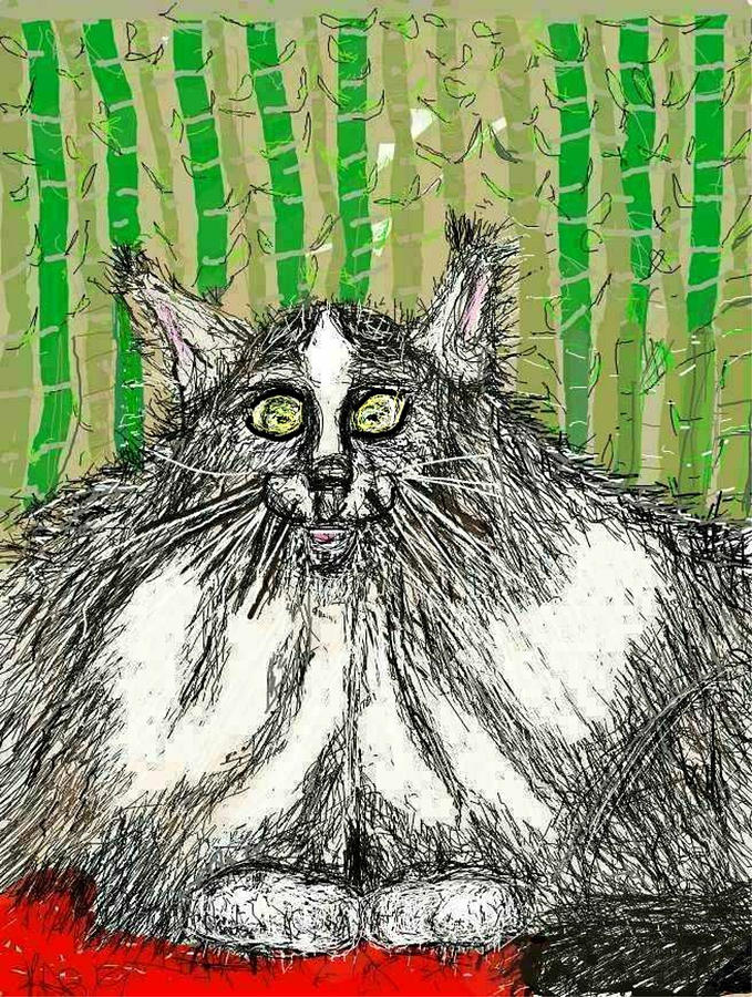Yoshi the Fluffy Cat Drawing by Kathy Barney