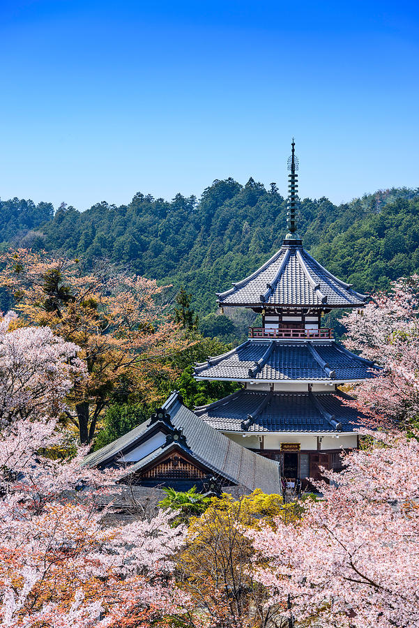 Landscape Photograph - Yoshinoyama, Japan At Kinpusenji Temple by Sean Pavone