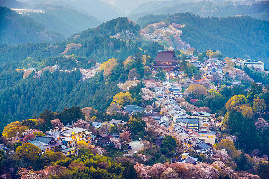 Landscape Photograph - Yoshinoyama, Japan At Twilight by Sean Pavone