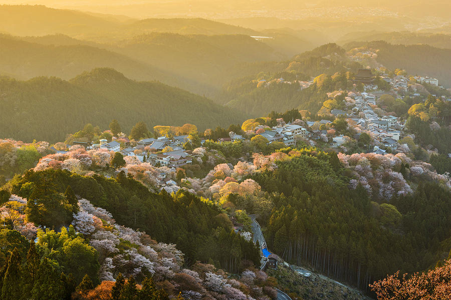 Scenic Photograph - Yoshinoyama Japan In The Spring by Sean Pavone