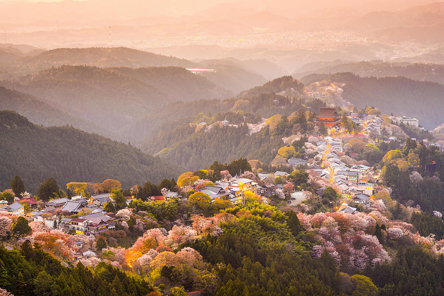 Landscape Photograph - Yoshinoyama, Nara, Japan View Of Town by Sean Pavone