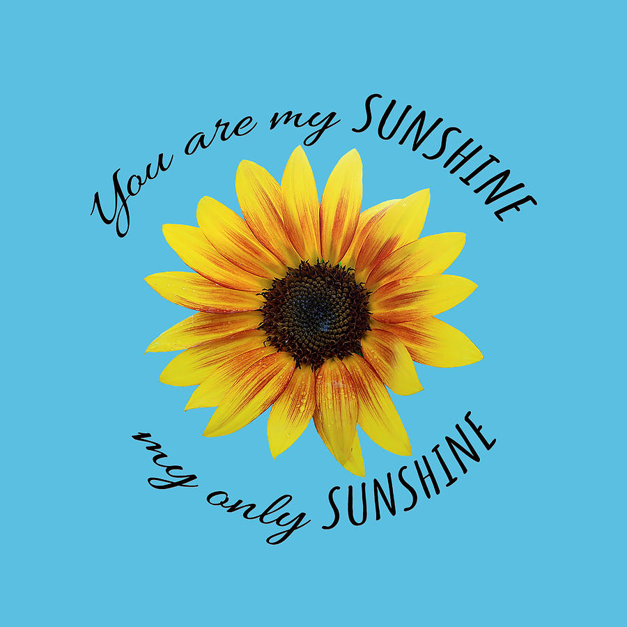 You Are My Sunshine My Only Sunshine Photograph By Stamp City