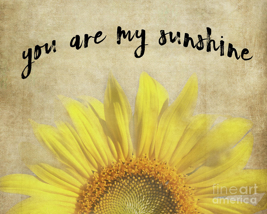 You Are My Sunshine Photograph by Pam  Holdsworth