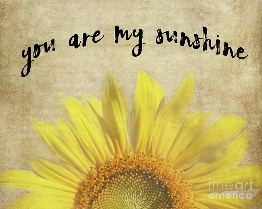 You Are My Sunshine Photograph by Pam Holdsworth - Fine Art America