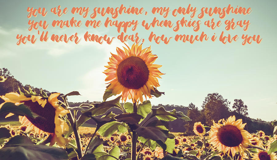 You are my sunshine #sunflowers #inspirational Photograph by Andrea Anderegg