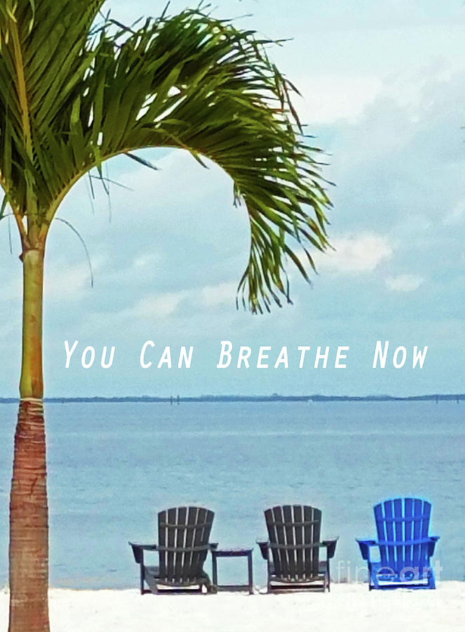 You Can Breathe Now Poster Photograph by Sharon Williams Eng