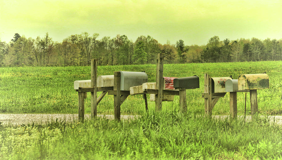You Got Mail Photograph by Ola Allen