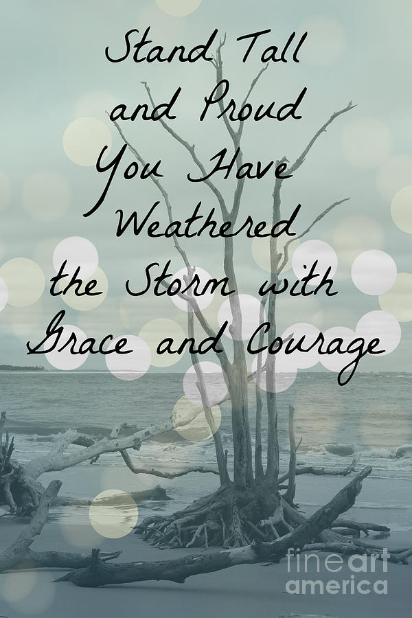 You Have Weathered The Storm Photograph