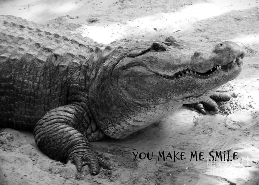 You Make Me Smile by Carol Groenen You Make Me Smile by Carol Groenen