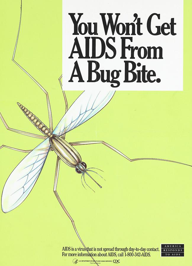 Insects Painting - You Wont Get Aids From A Bug Bite by Anonymous