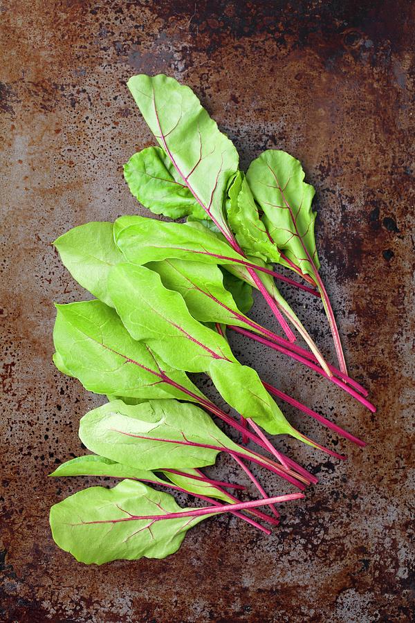 Young Beetroot Leaves On A Metal Surface Photograph by Rua Castilho