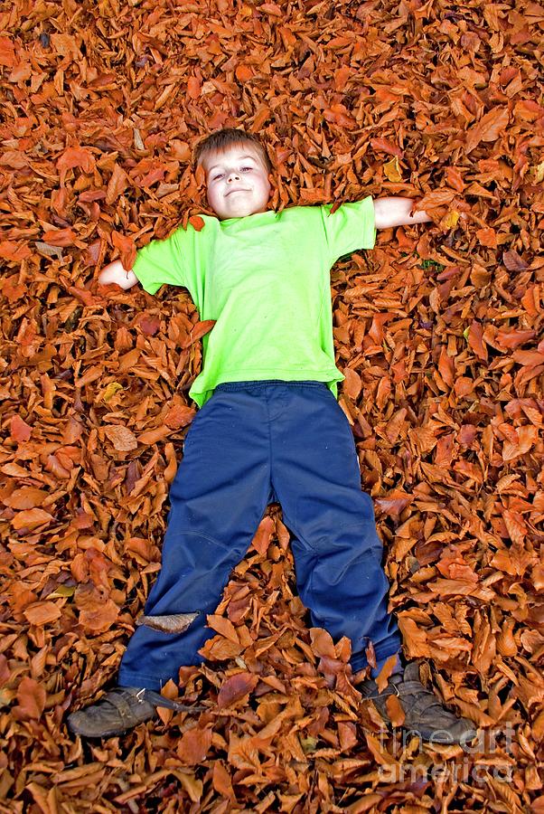 Young Boy In A Pile Of Beech Leaves. Photograph by Mark Williamson/science Photo Library