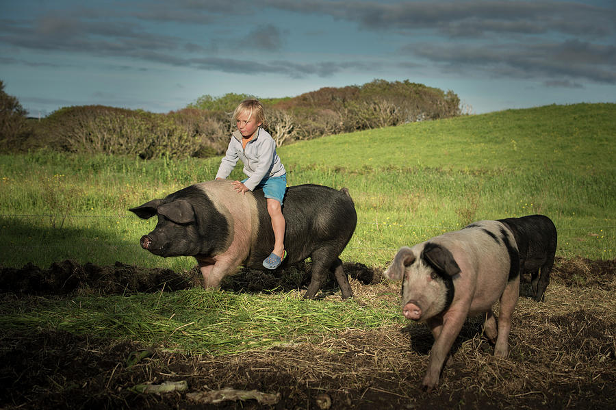 Young Boy Riding Large Pig On Hillside Digital Art By George Karbus