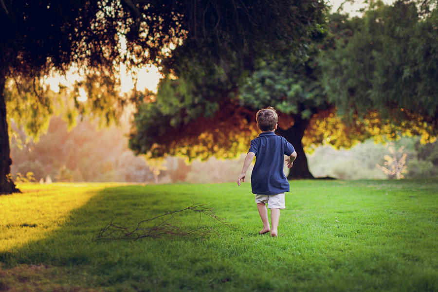 Young Boy Running Among Back Lit Pepper Trees In The Afternoon ...