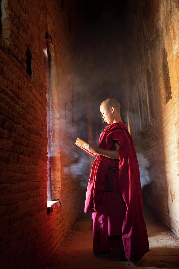 Young Buddhist Monk Reading In Pagoda Photograph by Peter Adams