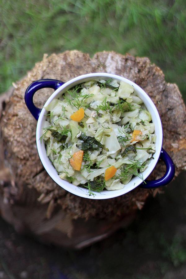 Young Cabbage With Carrots And Dill Photograph by Sylvia E.k Photography