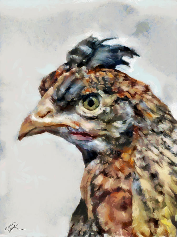 Young Chicken Painting by Scott Gaspar