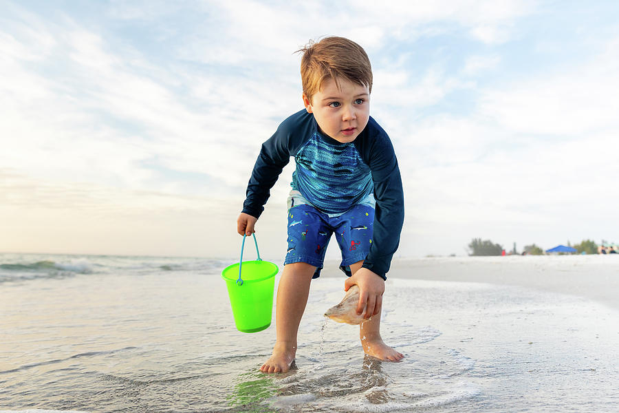 Young Child With Bucket Collecting Sea Shells On The Beach Photograph ...