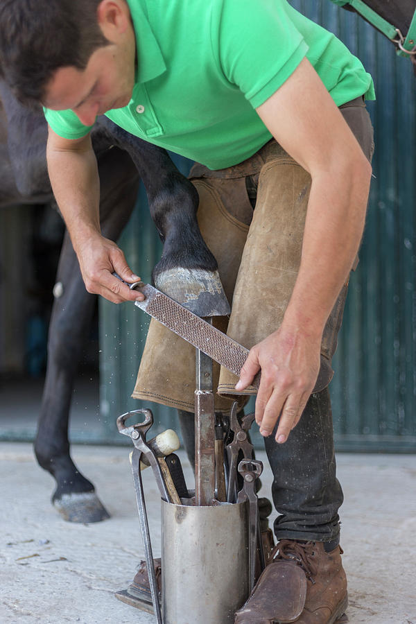 Tool Photograph - Young Farrier Filing The Hoof Of A Horse by Cavan Images