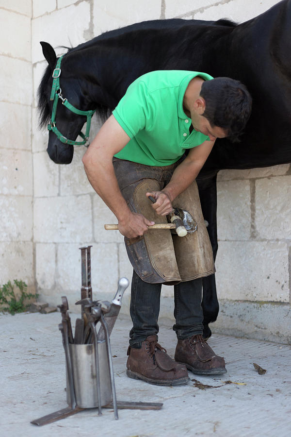 Tool Photograph - Young Farrier Shoeing A Horse, Being Down by Cavan Images