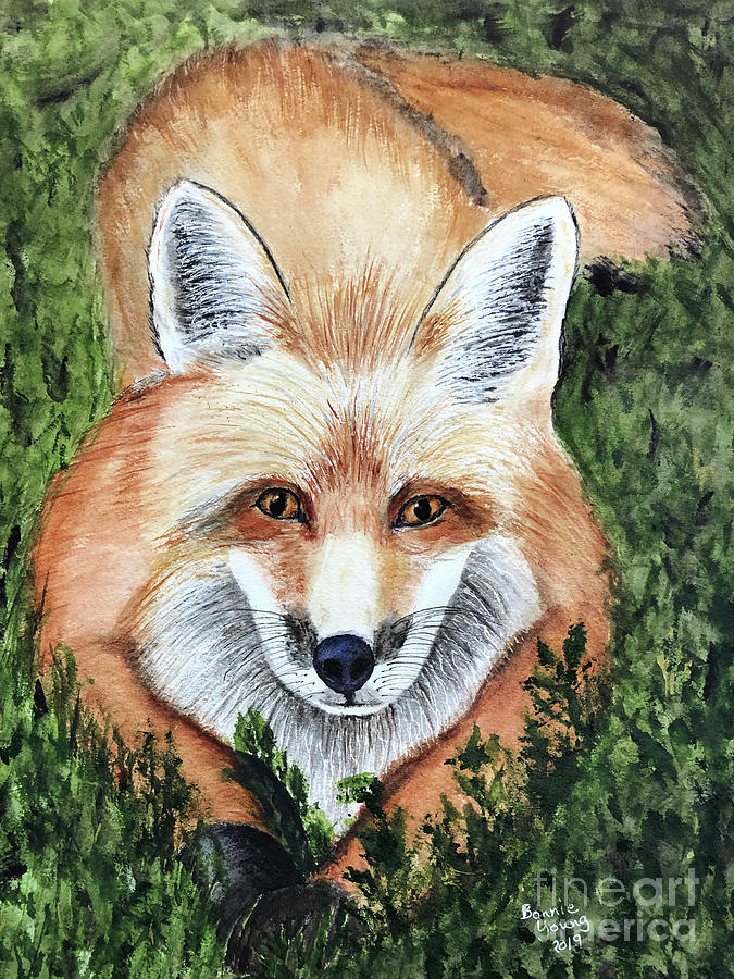 Young Fox Painting by Bonnie Young
