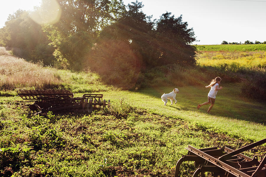 Young Girl And Dog Playing At Sunset By Antique Farm Equipment Photograph by Cavan Images