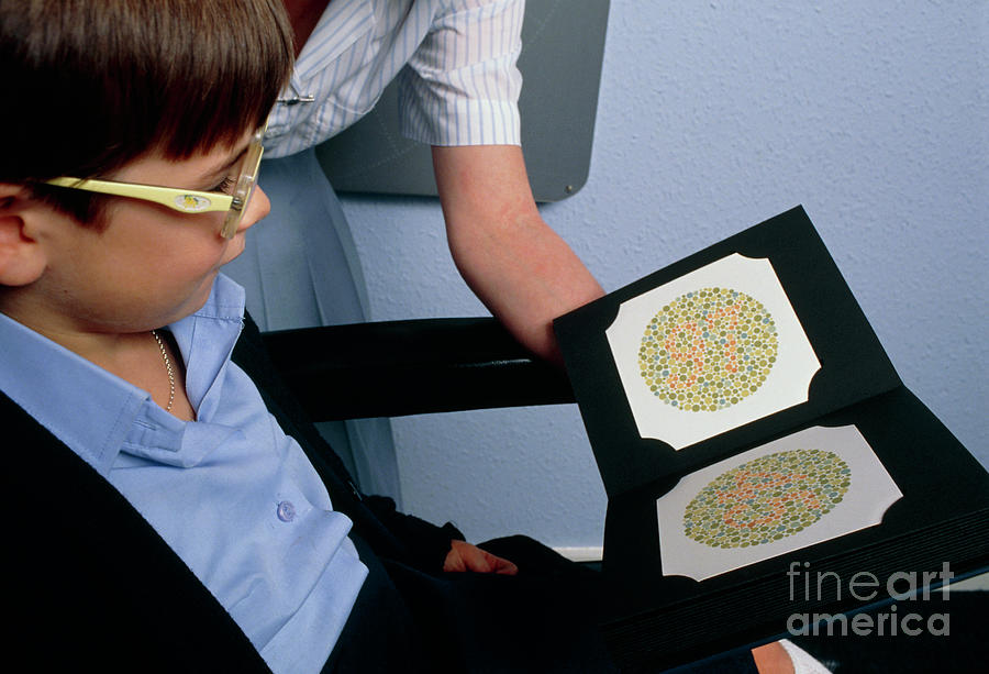 Young Girl Taking A Colour-blindness Test Photograph by Adam Hart-davis/science Photo Library