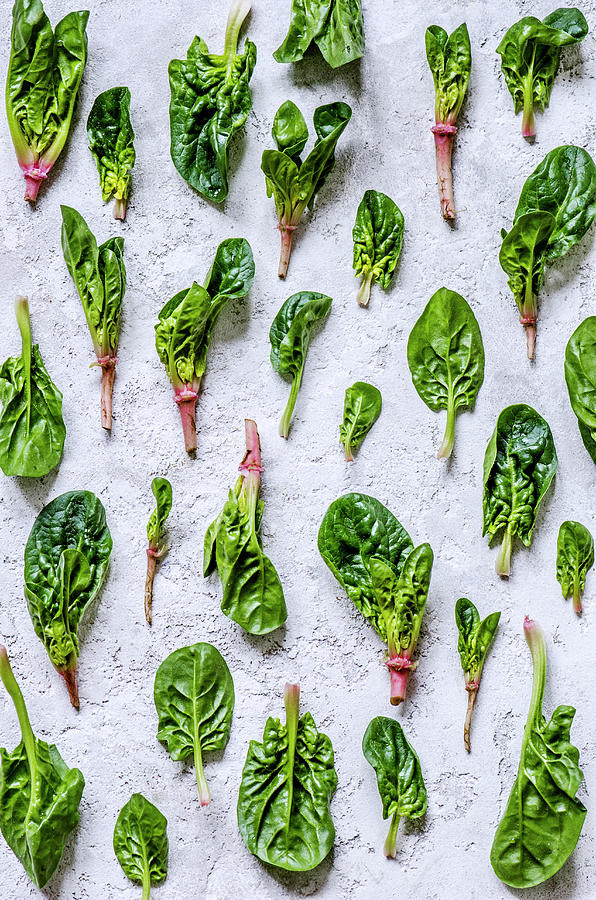 Young Leaves Of Spinach With Stalks Laid Out In The Form Of A Pattern On A Concrete Background Photograph by Gorobina