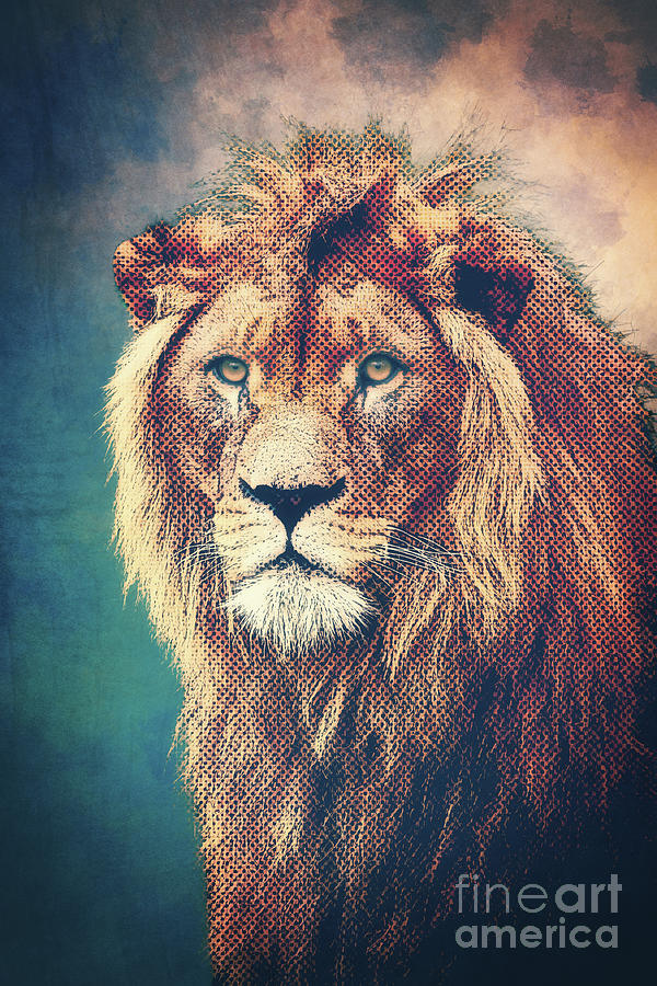 Young Lion by Angela Doelling AD DESIGN Photo and PhotoArt Young Lion by Angela Doelling AD DESIGN Photo and PhotoArt