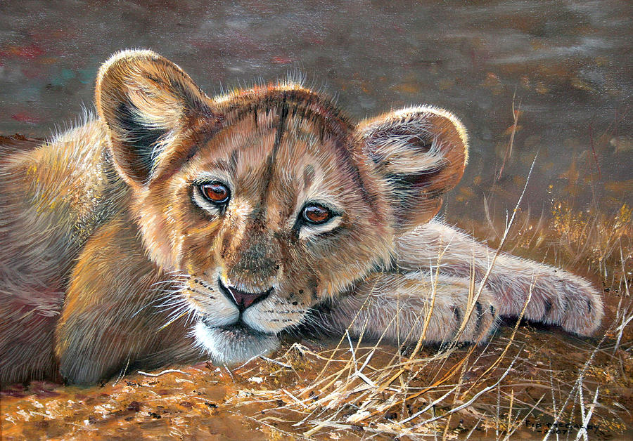 Young Lion Resting Painting by Pip Mcgarry - Fine Art America