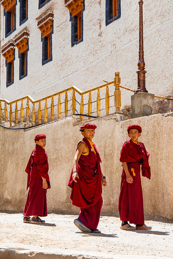 Documentary Photograph - Young Monks Of Hemis by Olivier Schram