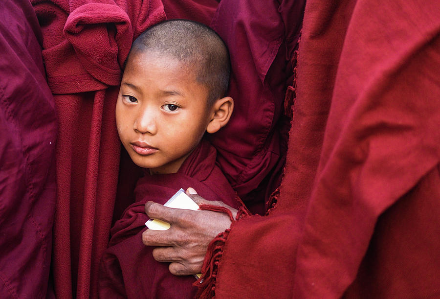 young novice Buddhist monk at festival Photograph by Ann Moore