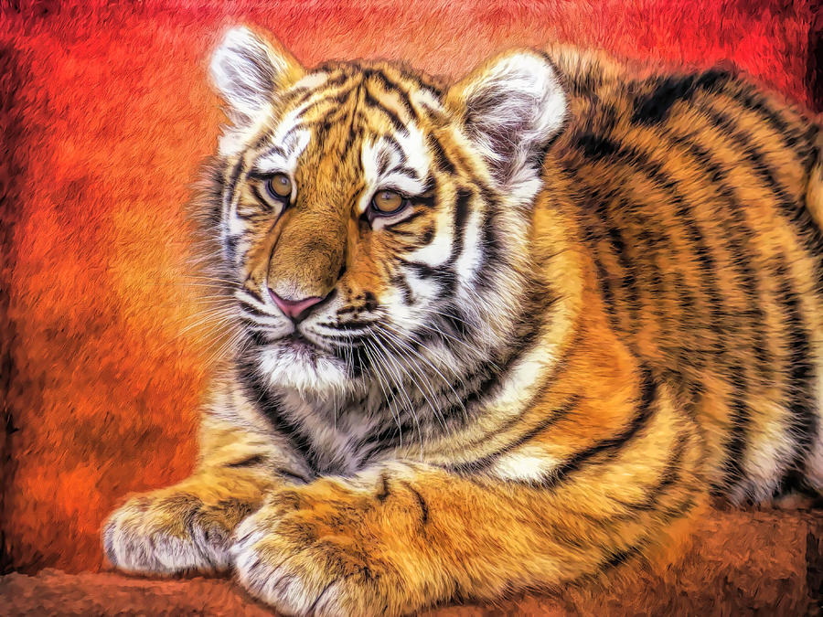 Young Tiger Mixed Media by Judy Vincent