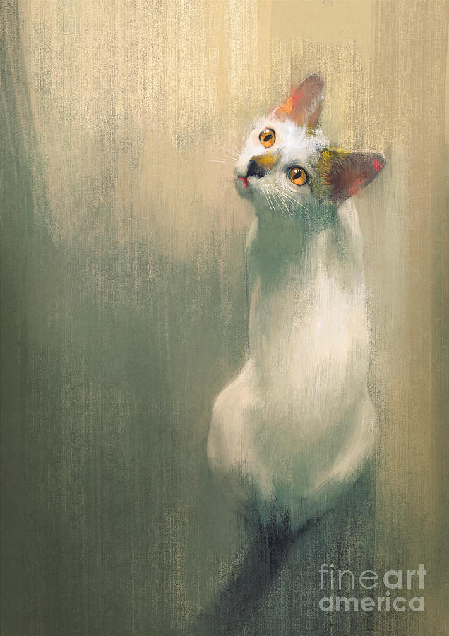 Cat Digital Art - Young White Cat Looking Updigital by Tithi Luadthong