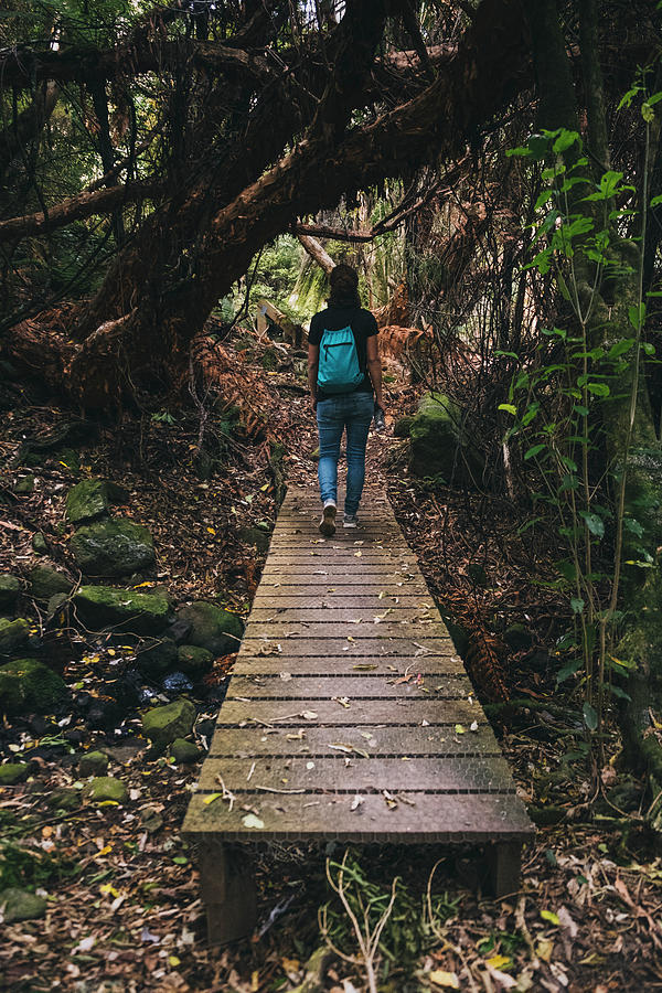 Tree Photograph - Young Woman Walking Through A Bridge In Banks Peninsula Forest, Nz by Cavan Images