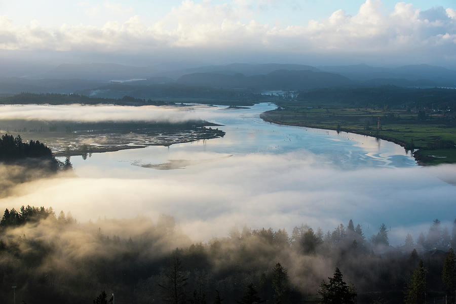 Youngs River with Fog Photograph by Tom Cochran